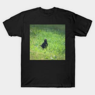 Blackbird T-Shirt